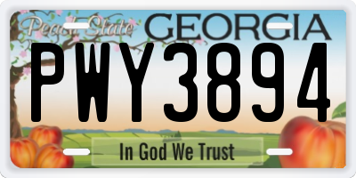 GA license plate PWY3894