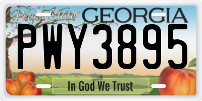 GA license plate PWY3895