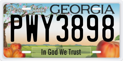 GA license plate PWY3898