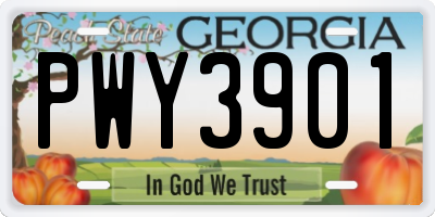 GA license plate PWY3901
