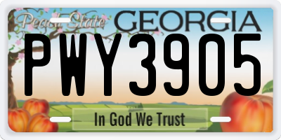 GA license plate PWY3905