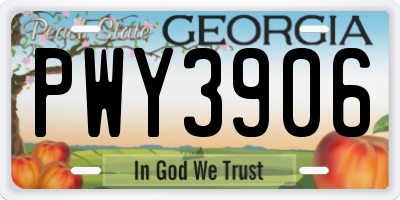 GA license plate PWY3906