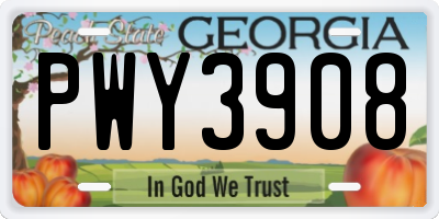 GA license plate PWY3908