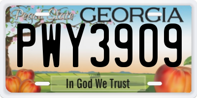 GA license plate PWY3909