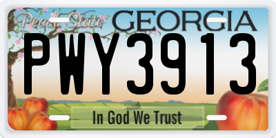 GA license plate PWY3913