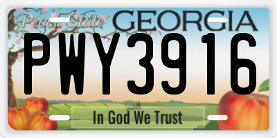 GA license plate PWY3916