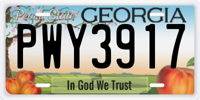 GA license plate PWY3917