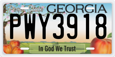 GA license plate PWY3918