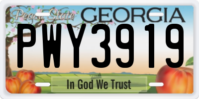 GA license plate PWY3919
