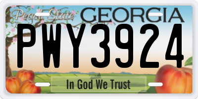 GA license plate PWY3924