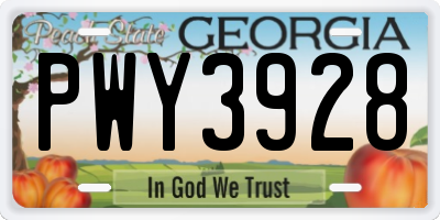 GA license plate PWY3928