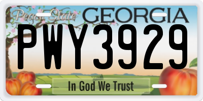 GA license plate PWY3929