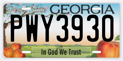 GA license plate PWY3930