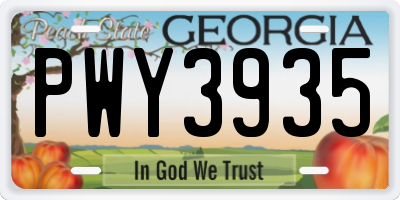 GA license plate PWY3935