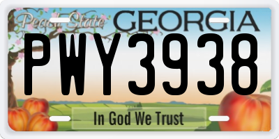 GA license plate PWY3938
