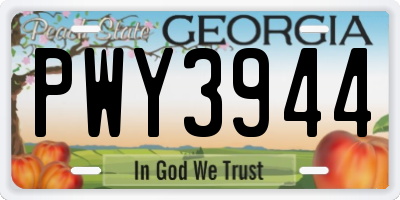 GA license plate PWY3944
