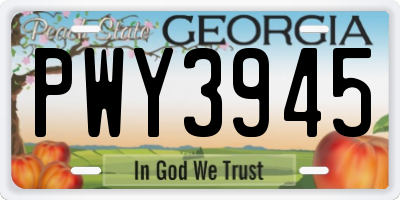 GA license plate PWY3945