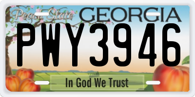 GA license plate PWY3946