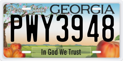GA license plate PWY3948