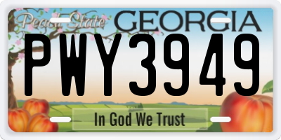 GA license plate PWY3949