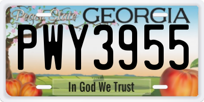 GA license plate PWY3955