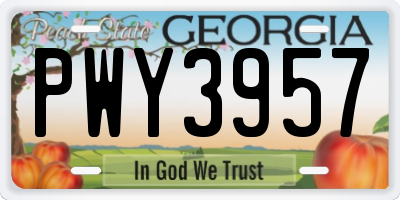 GA license plate PWY3957