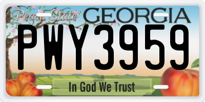 GA license plate PWY3959