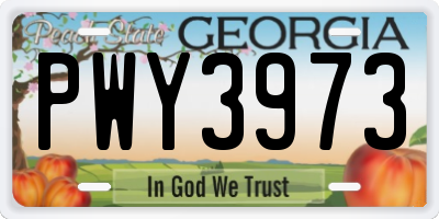 GA license plate PWY3973