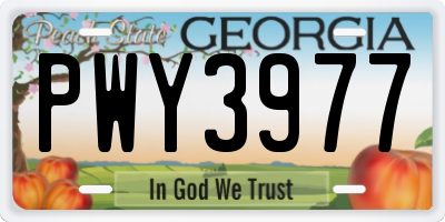 GA license plate PWY3977