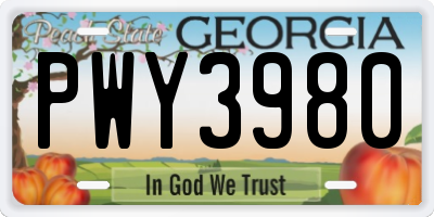 GA license plate PWY3980