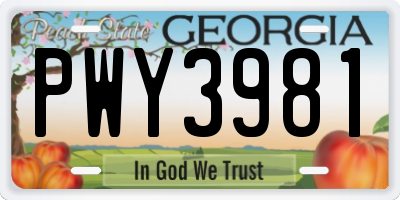 GA license plate PWY3981