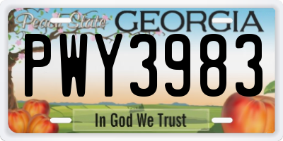 GA license plate PWY3983