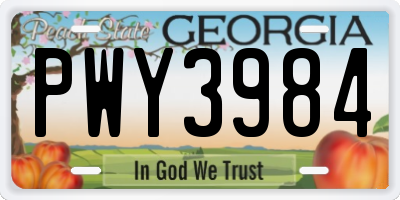 GA license plate PWY3984