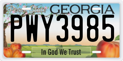 GA license plate PWY3985