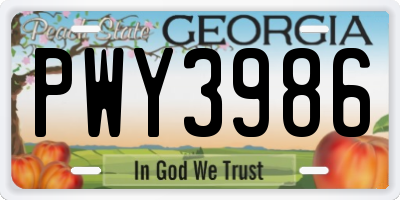 GA license plate PWY3986