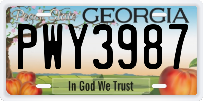 GA license plate PWY3987