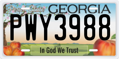 GA license plate PWY3988