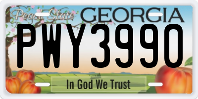 GA license plate PWY3990