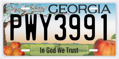 GA license plate PWY3991
