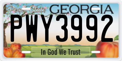 GA license plate PWY3992
