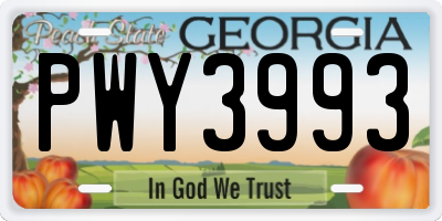 GA license plate PWY3993