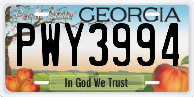 GA license plate PWY3994