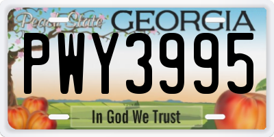 GA license plate PWY3995