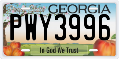 GA license plate PWY3996