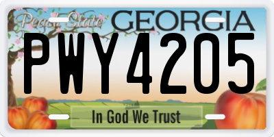 GA license plate PWY4205