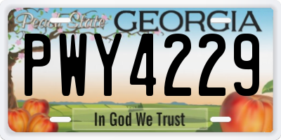 GA license plate PWY4229