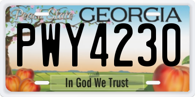 GA license plate PWY4230