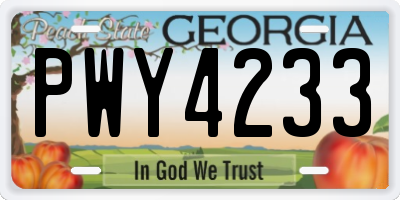 GA license plate PWY4233