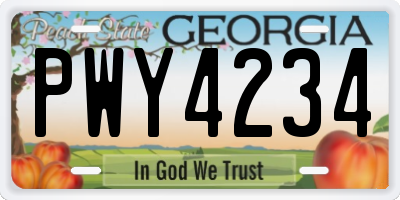 GA license plate PWY4234