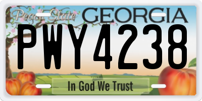 GA license plate PWY4238